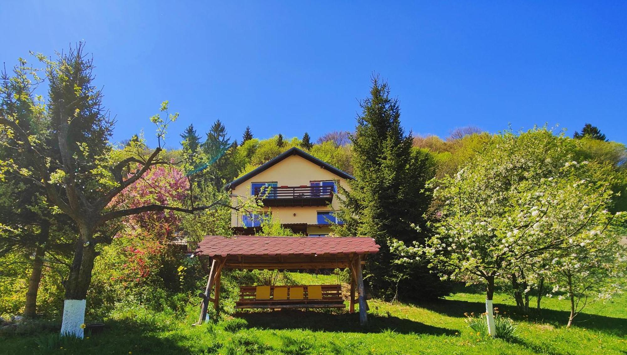 Hotel Casa De Sub Padure Bran  Esterno foto